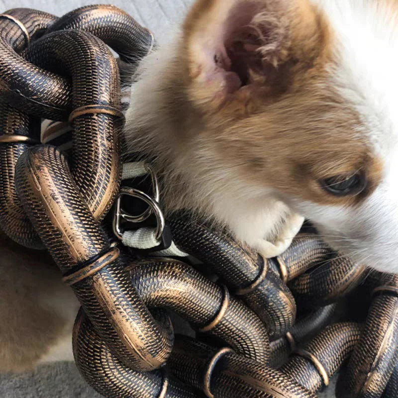 Cool and Funny Dog Leash - PawChic Bowlift
