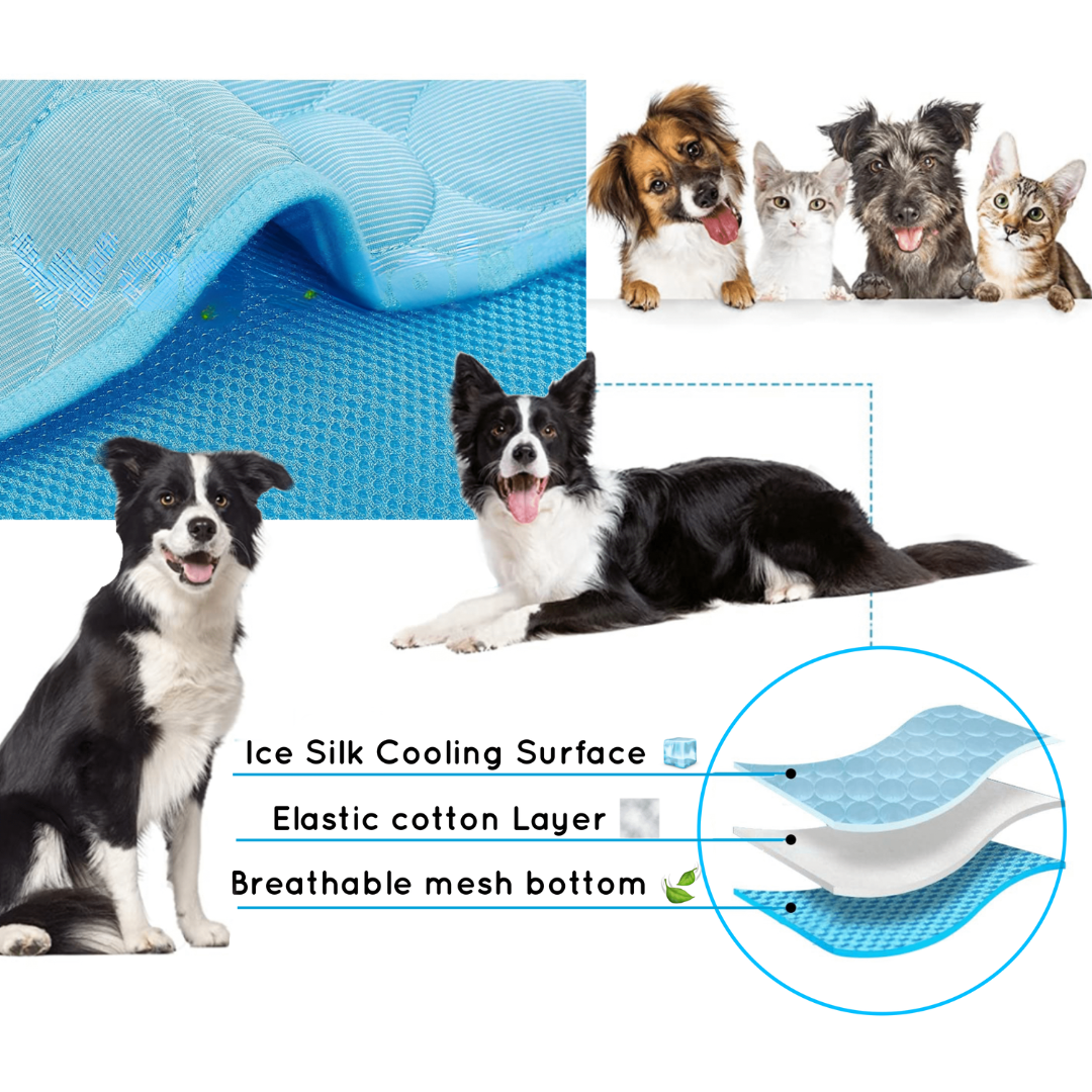 Cooling Dog Mat - CoolPet Mat Karnz