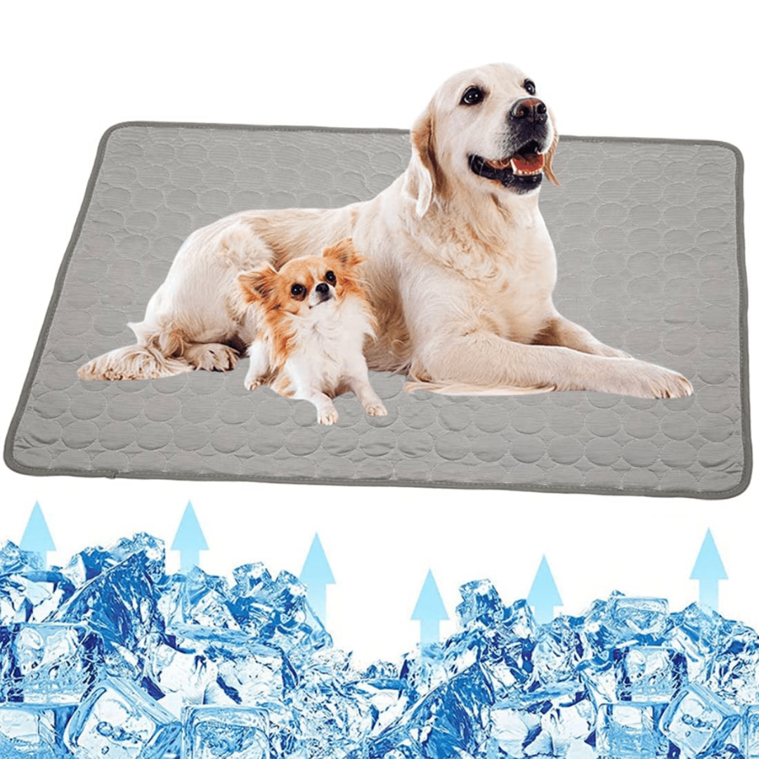 Cooling Dog Mat - CoolPet Mat Bowlift