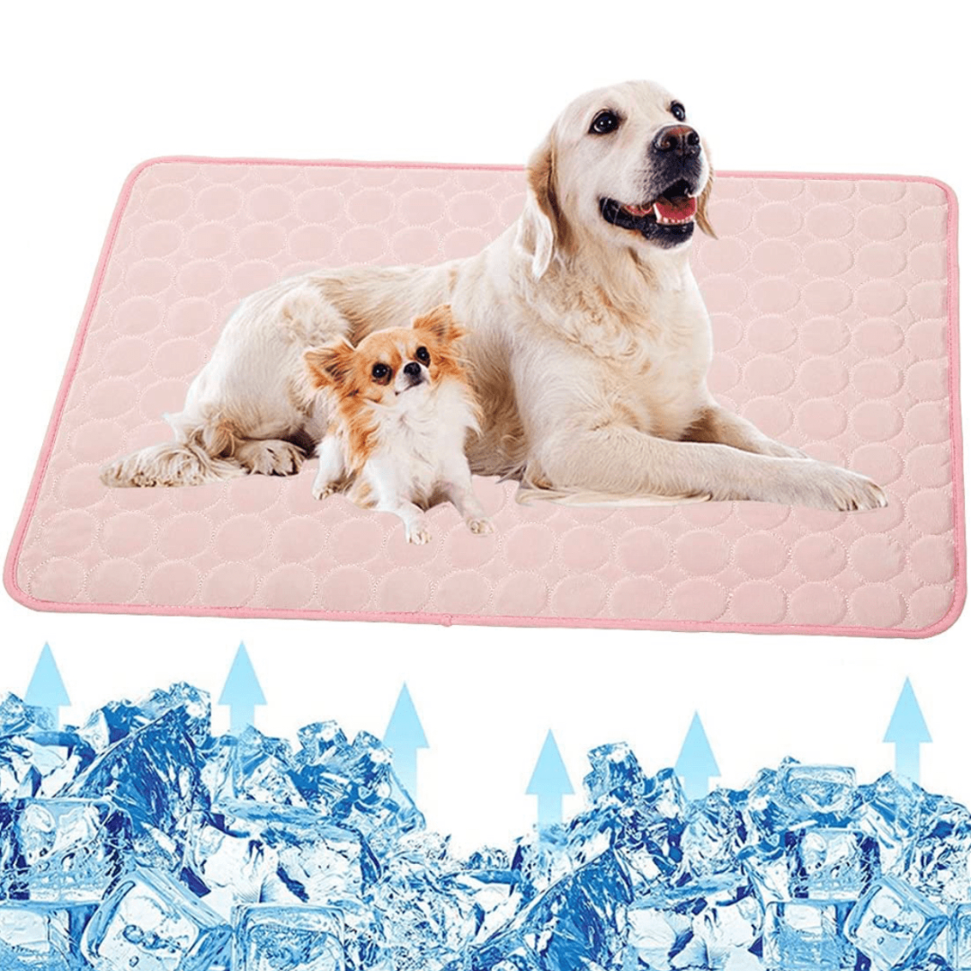 Cooling Dog Mat - CoolPet Mat Karnz