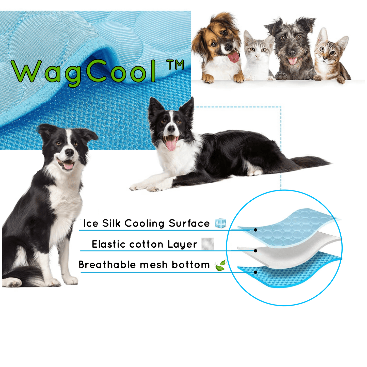 Cooling Dog Mat - CoolPet Mat Bowlift