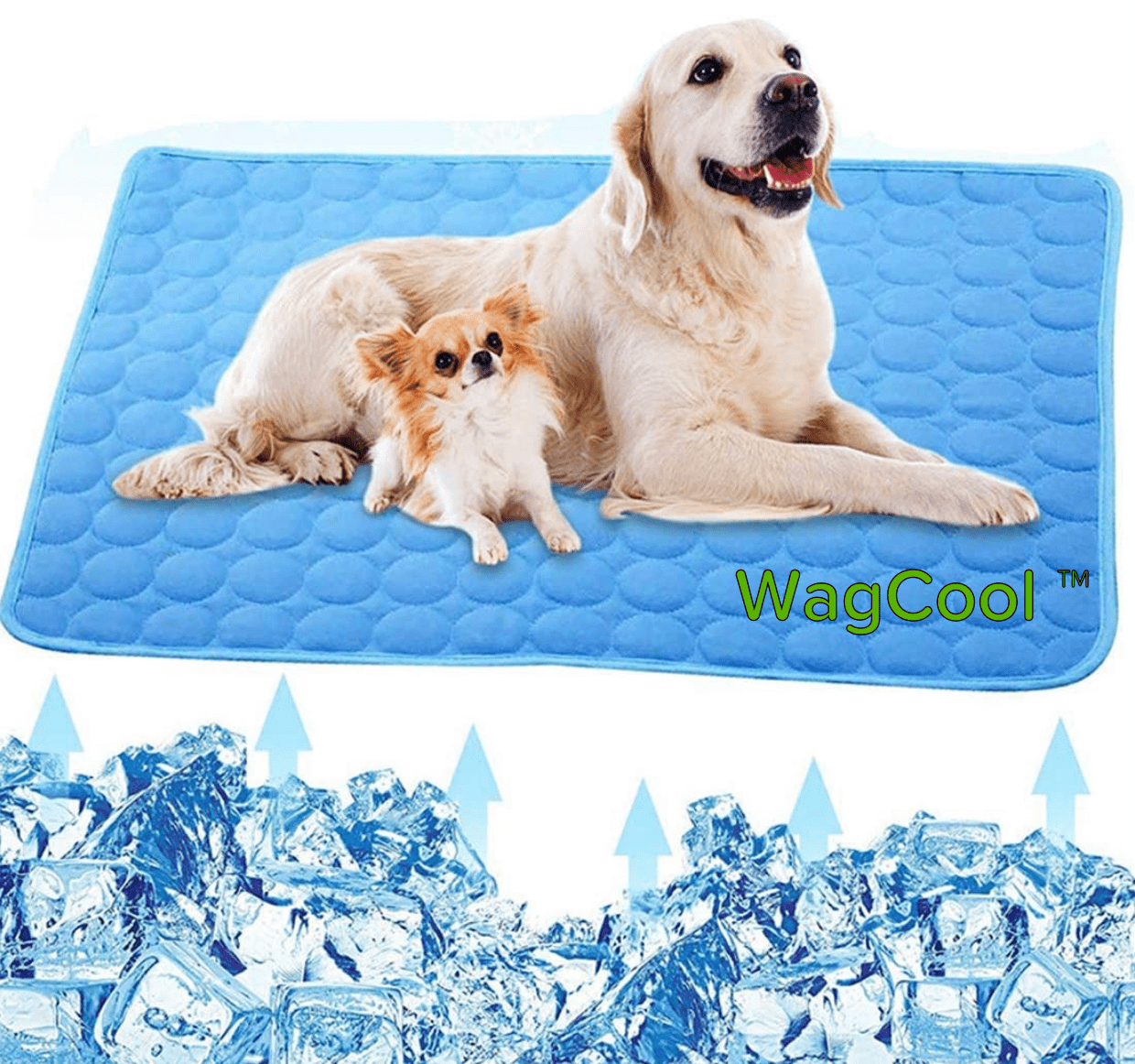 Cooling Dog Mat - CoolPet Mat Bowlift