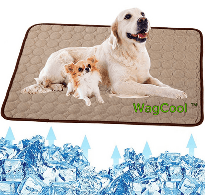 Cooling Dog Mat - CoolPet Mat Bowlift