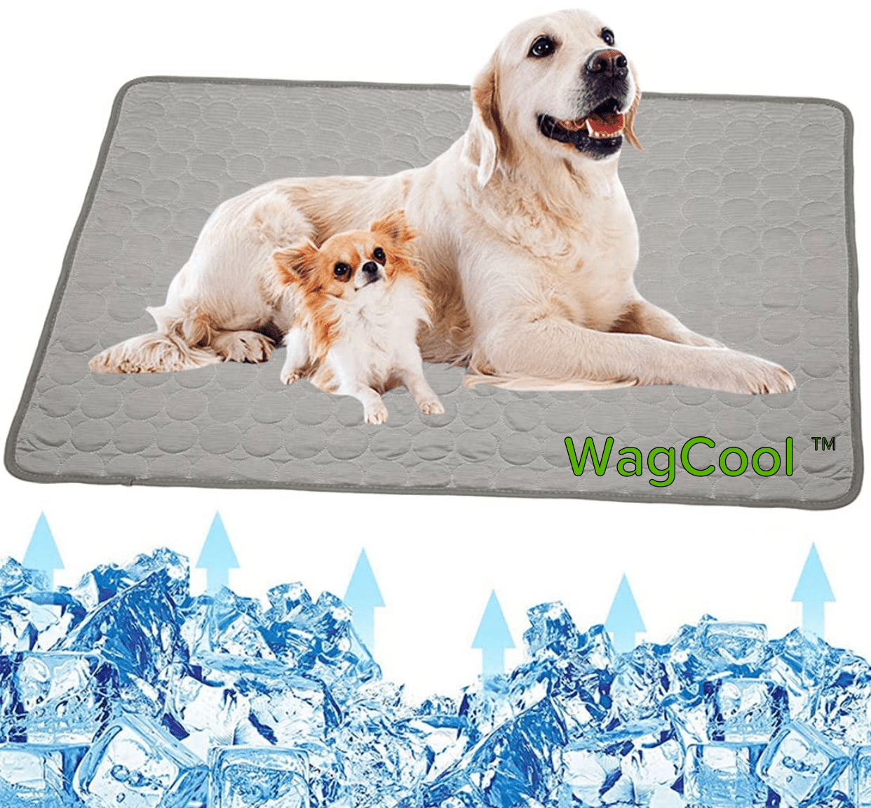 Cooling Dog Mat - CoolPet Mat Bowlift