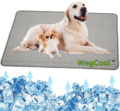 Cooling Dog Mat - CoolPet Mat Bowlift