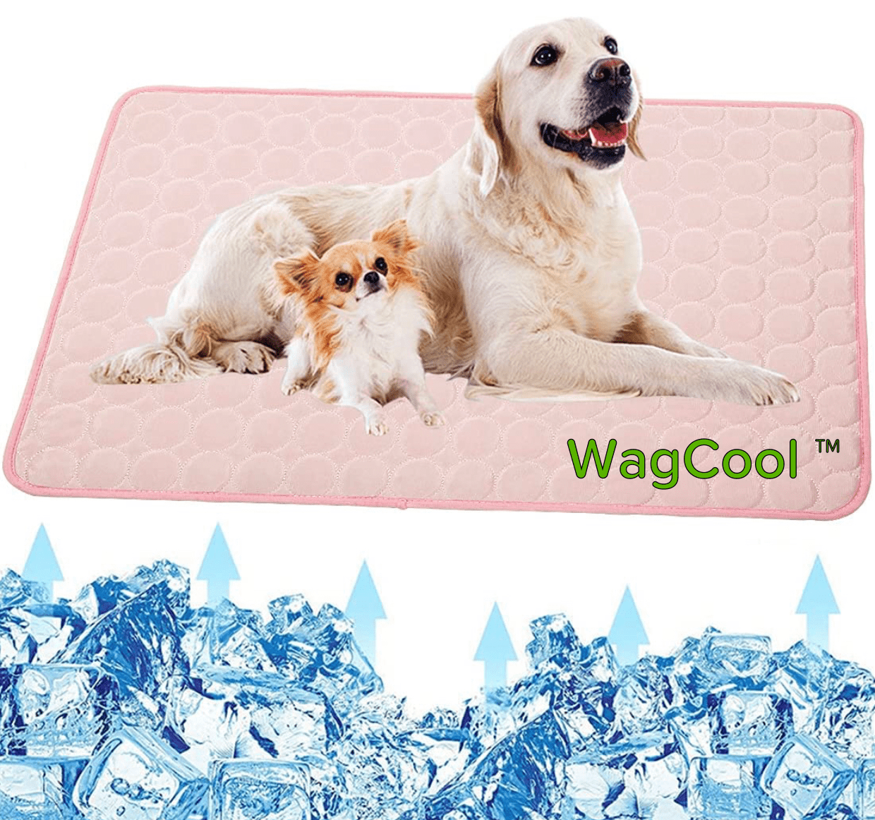 Cooling Dog Mat - CoolPet Mat Karnz