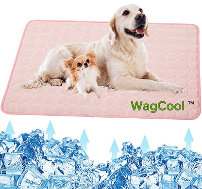 Cooling Dog Mat - CoolPet Mat Karnz