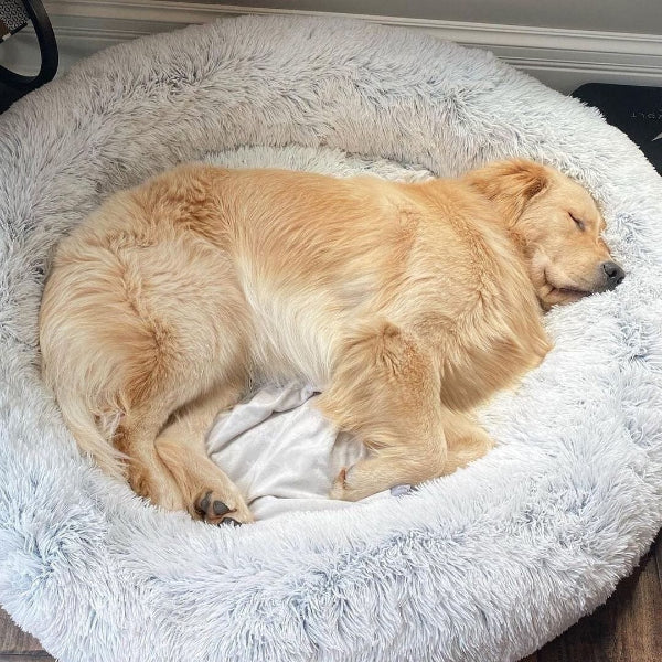 Skanto | COZYPET – Calming Dog Bed with Plush Faux Fur & Removable Cover