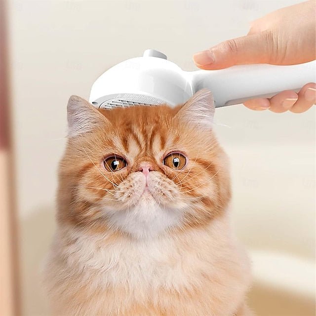 Skanto | PetGlow | Experience Radiant Softness