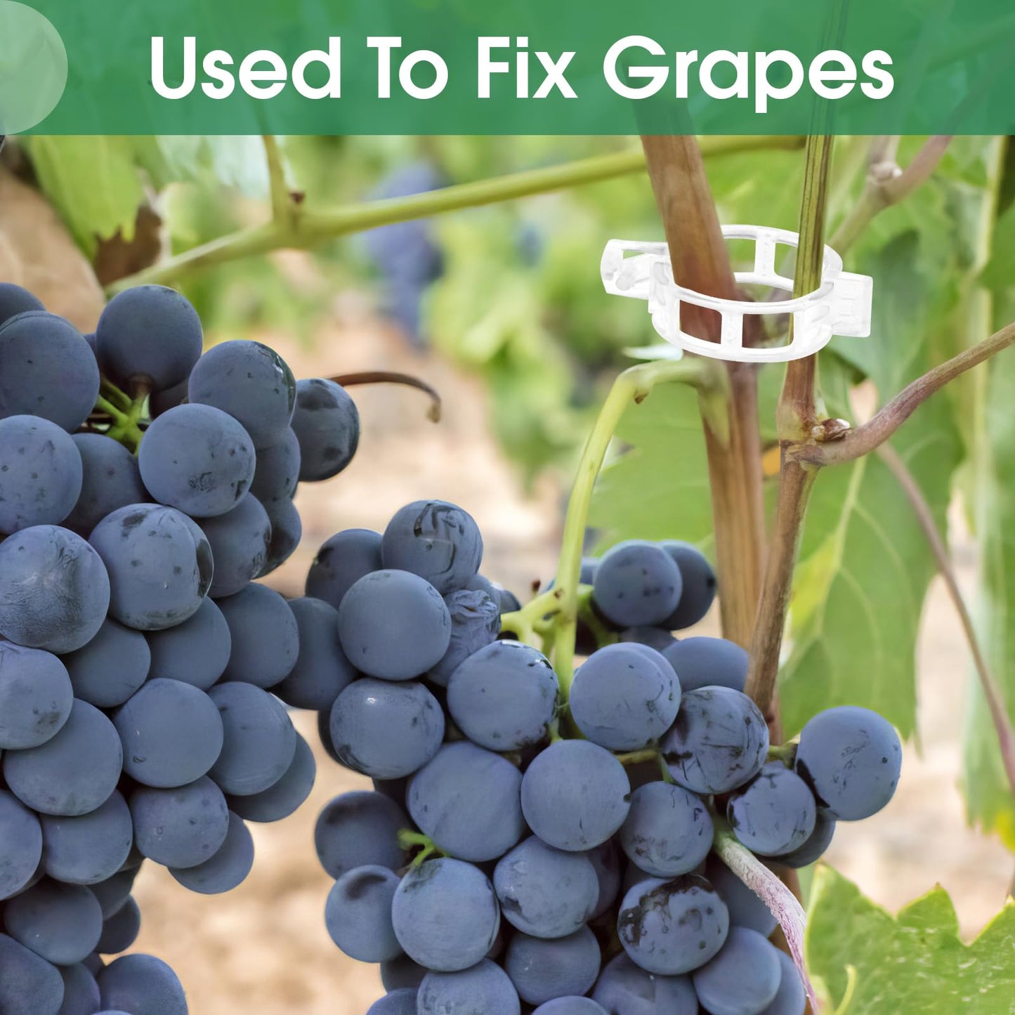 BowLift | Tomato Clips, Plastic Trellis Clips