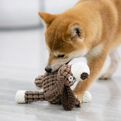Squeaky plush toy for dogs