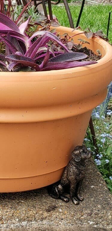 BowLift | Potty Feet Plant Pot Feet