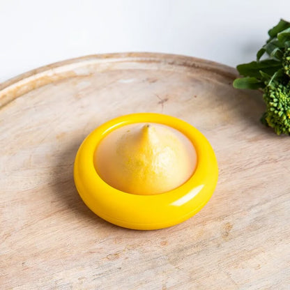 Brehn | FreshGuard Reusable Food Protection Box