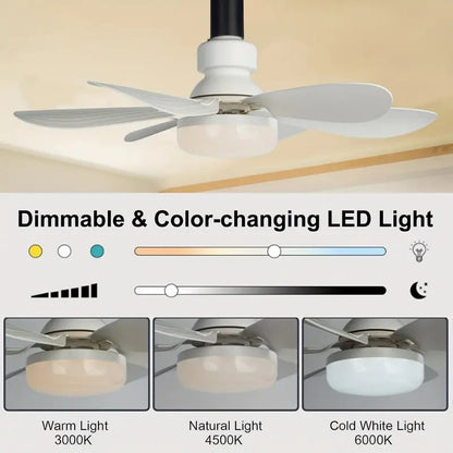 BowLift | 2-IN-1 PORTABLE CEILING FAN & LIGHT with Remote Control