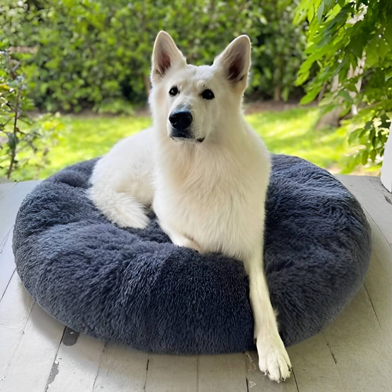 Skanto | Calming Dog Bed