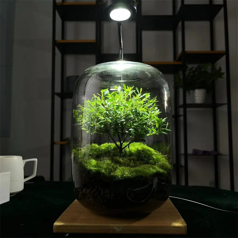 Micro Landscape Green Oasis Glass Vase | Karnz