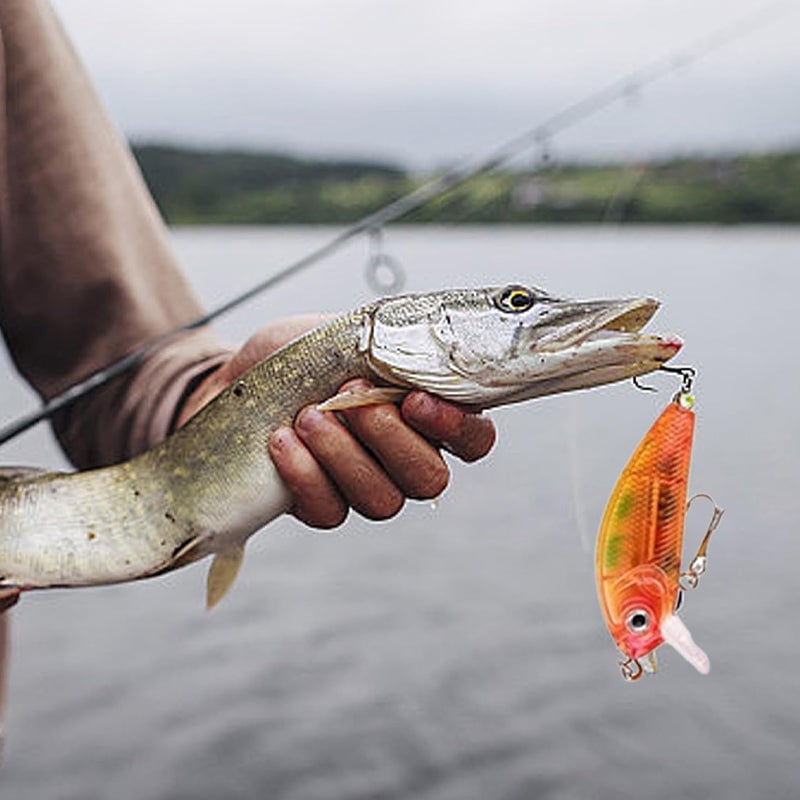 Skanto | 24-Day Christmas Countdown Fishing Tackle Set