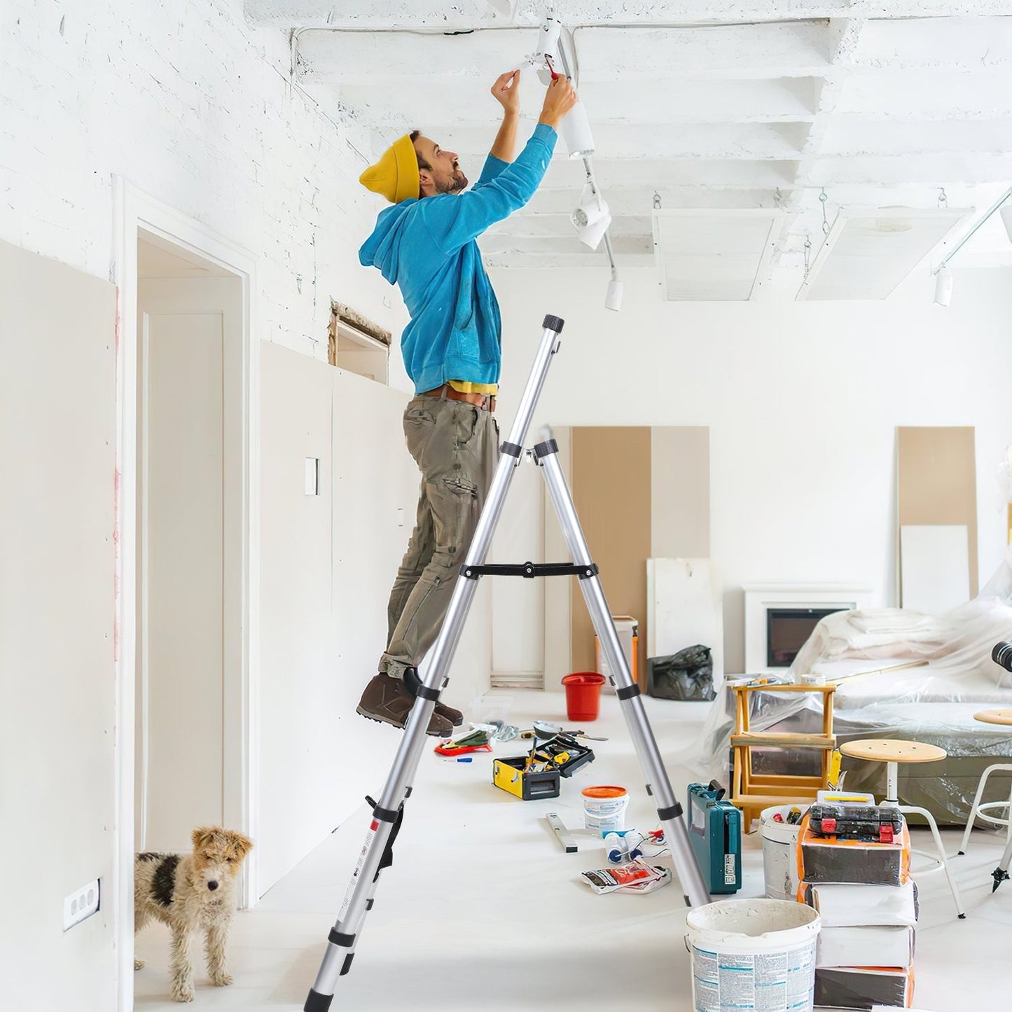 Telescoping ladder Folding ladder A-frame | Bowlift
