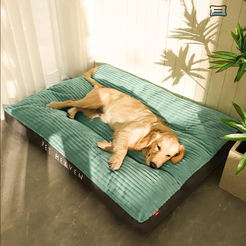 Skanto | DreamRest Orthopedic Dog Bed – Fluffy, Supportive & Washable Comfort