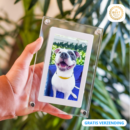 Digital Photo Frame - GlowFrame Bowlift