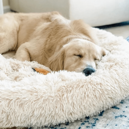 Brehn | Round Plush Calming Donut Dog Bed for Small to Large Dogs