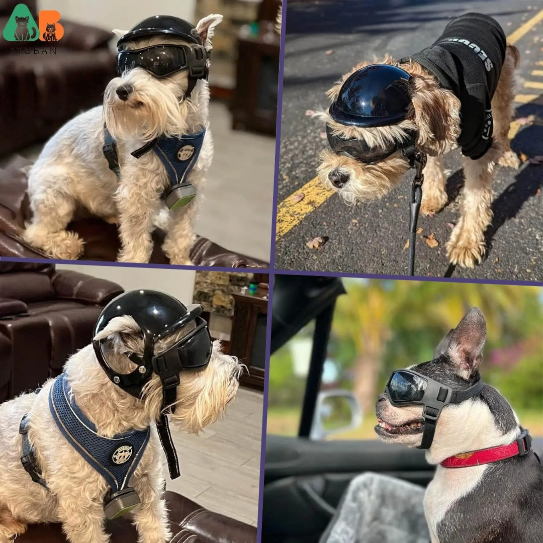 Dog Helmet and Goggles - RiderPaw Bowlift