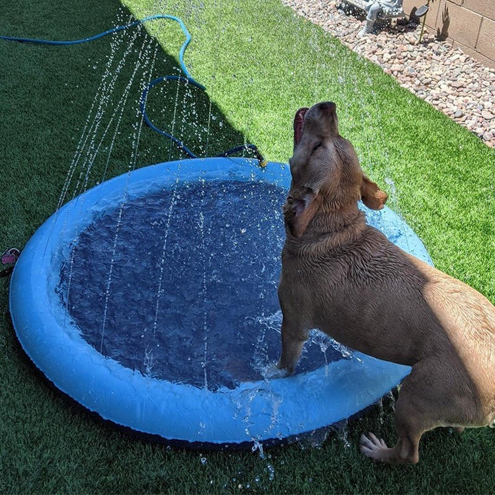SplashPaws™ | Pet Sprinkler Mat