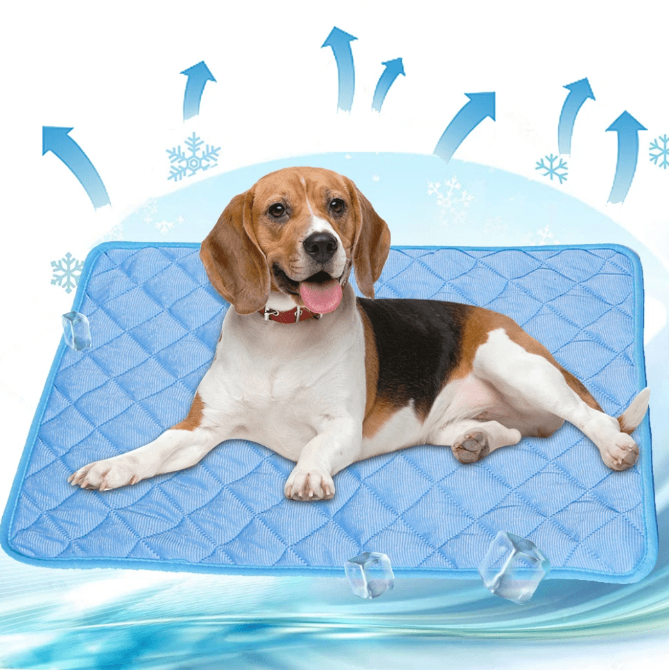 Skanto | DogCool – Self-Cooling Dog Mat for Hot Summer Days