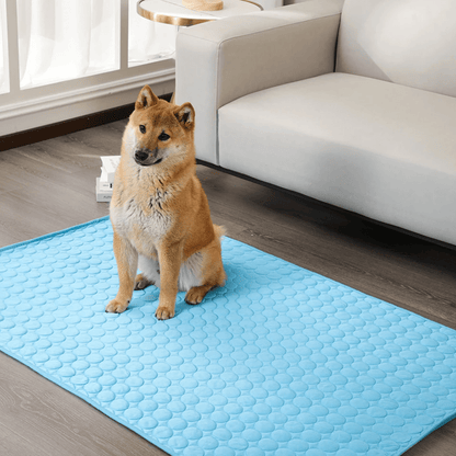 Skanto | DogCool – Self-Cooling Dog Mat for Hot Summer Days