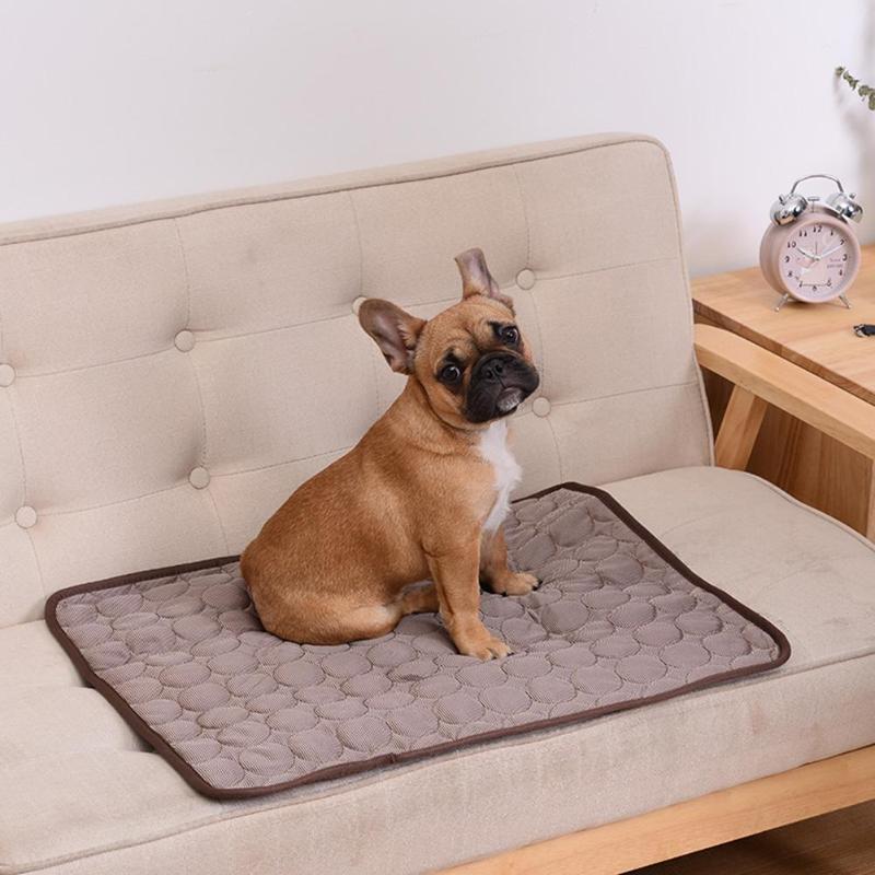 Skanto | DogCool – Self-Cooling Dog Mat for Hot Summer Days