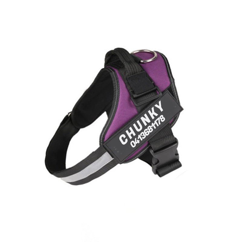 Skanto | Dogsafe Harness – Reflective, No-Pull Dog Harness with Customizable Name Tag