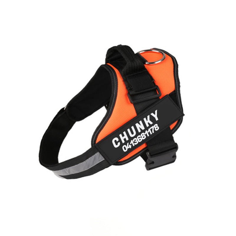 Skanto | Dogsafe Harness – Reflective, No-Pull Dog Harness with Customizable Name Tag