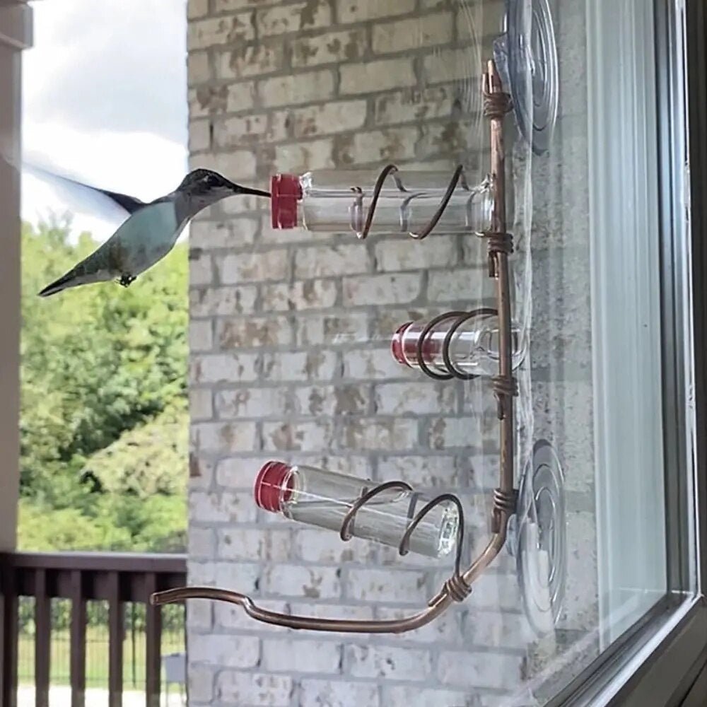 BowLift | Window Nectar - See the birds up close - Wonder guaranteed