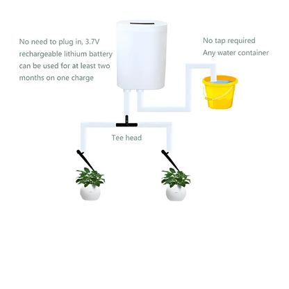 Skanto | Automatic Watering Pump Controller