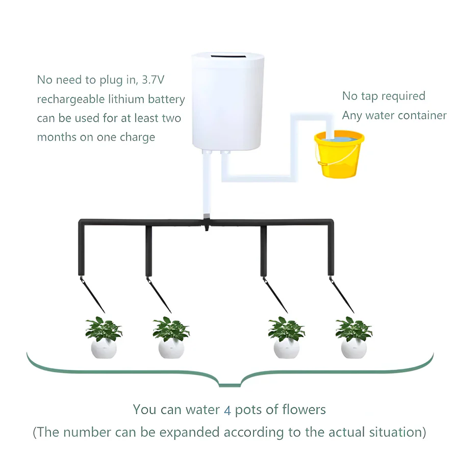 Skanto | Automatic Watering Pump Controller