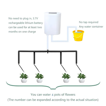 Skanto | Automatic Watering Pump Controller