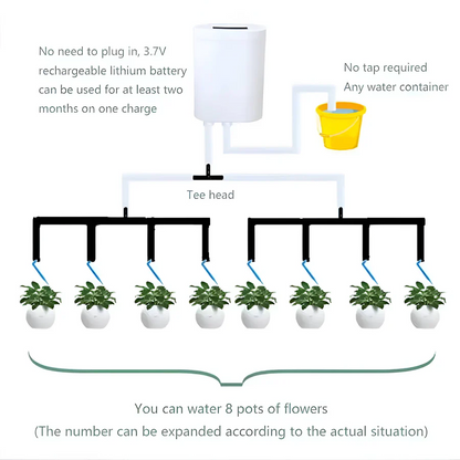 Skanto | Automatic Watering Pump Controller