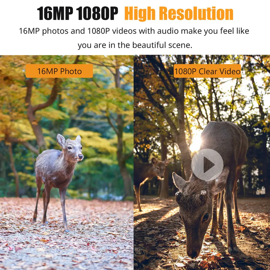 Skanto | 1080P Night Vision Trail Camera with Motion Detection
