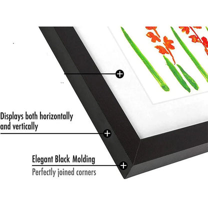 Skanto | Creative Frame for Drawings