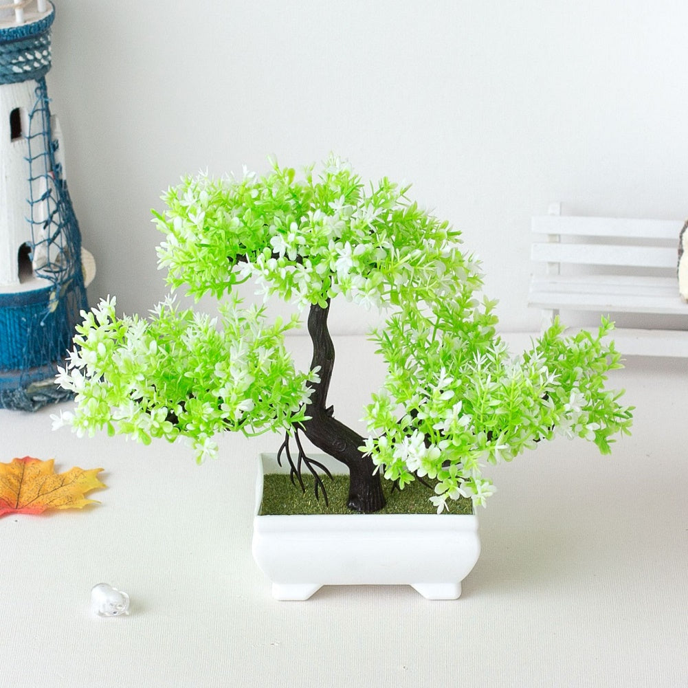 Bonsai Plant – Mini Indoor Decoration