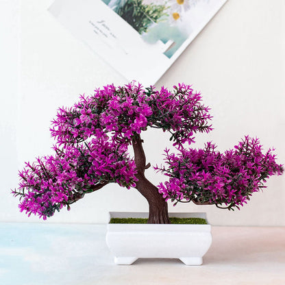 Bonsai Plant – Mini Indoor Decoration