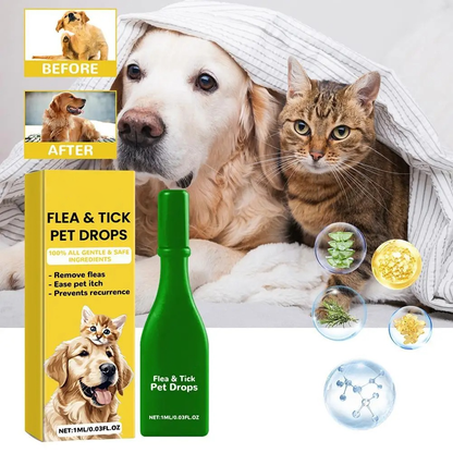 Skanto | Cat Flea Treatment Home