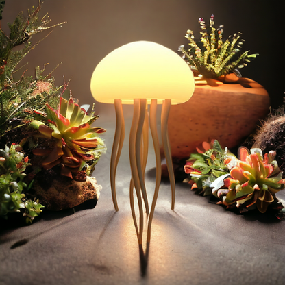 Jellyfish Lamp | Karnz
