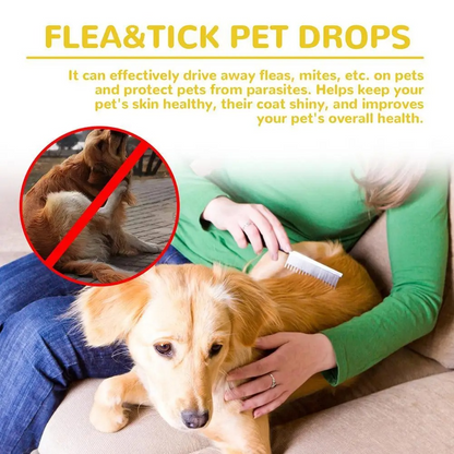 Skanto | Cat Flea Treatment Home