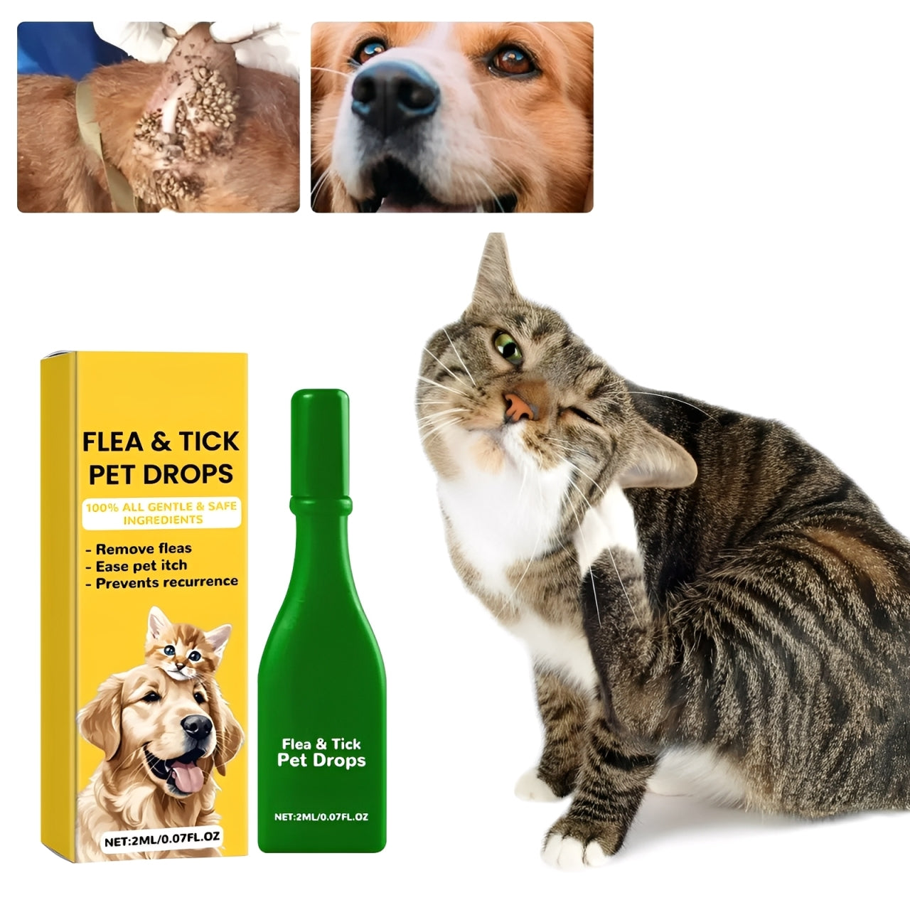 Skanto | Cat Flea Treatment Home