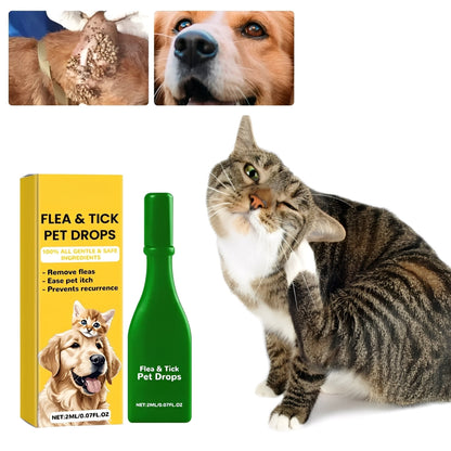 Skanto | Cat Flea Treatment Home