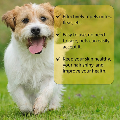 Skanto | Cat Flea Treatment Home