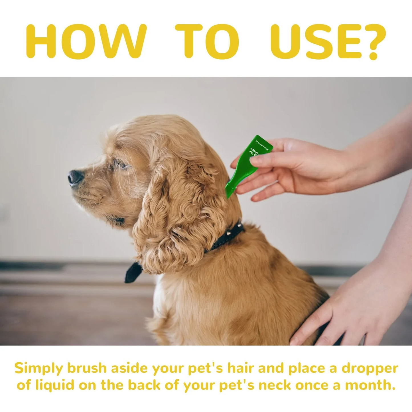 Skanto | Cat Flea Treatment Home
