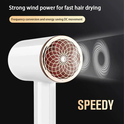 Skanto | 2400W High-Performance Hair Dryer with Cool & Warm Air Function - Ion Technology