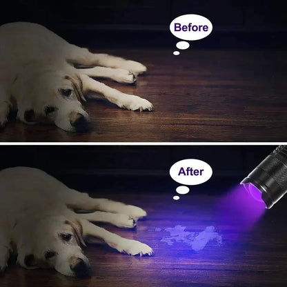 Kalsten | LED UV Flashlight - Ultraviolet Inspection Lamp for Pet Urine and Stain Detection